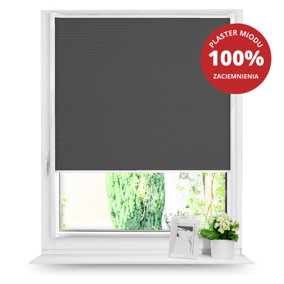 Rolety plisowane PLASTER MIODU