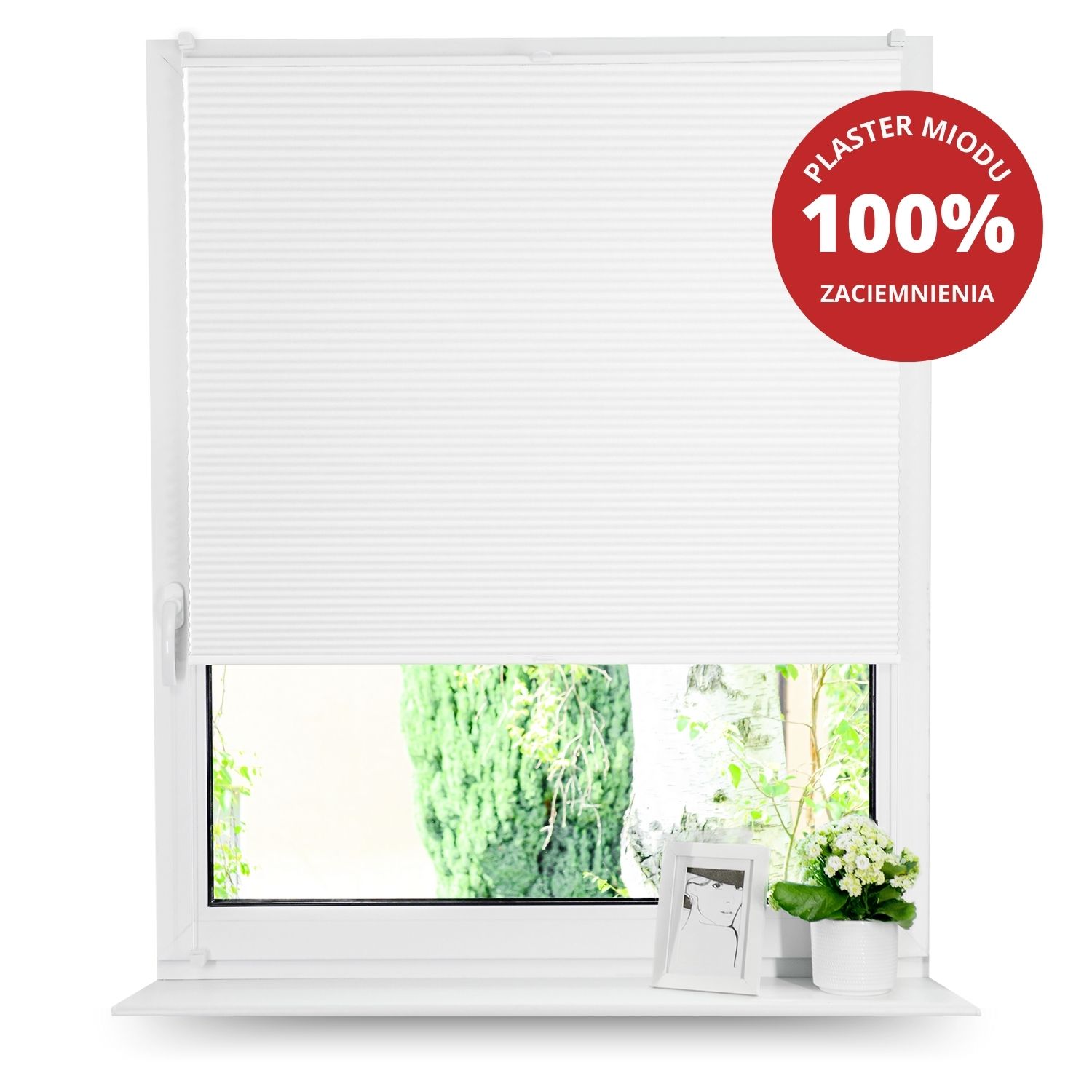 Rolety plisowane PLASTER MIODU
